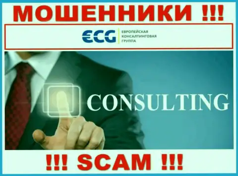 Консалтинг - это тип деятельности незаконно действующей компании E.C.G