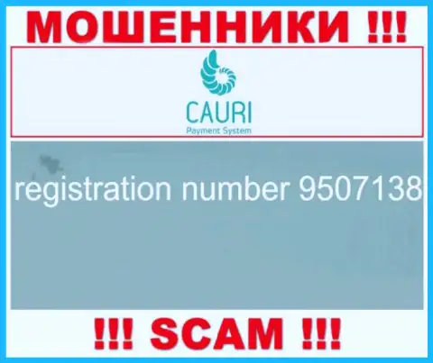 Регистрационный номер, принадлежащий незаконно действующей конторе Каури Ком - 9507138