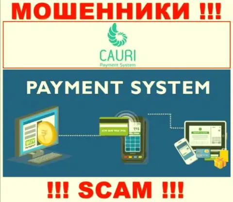Мошенники Каури Ком, работая в области Payment system, надувают доверчивых клиентов