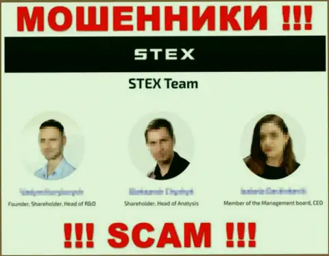 Кто точно управляет Stex неизвестно, на сайте мошенников размещены неправдивые сведения