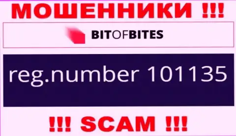 Регистрационный номер организации BitOfBites, который они представили у себя на веб-сервисе: 101135