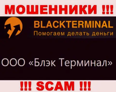 На официальном веб-портале Black Terminal отмечено, что юридическое лицо конторы - ООО Блэк Терминал