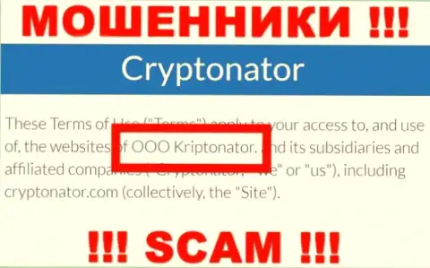 Организация Криптонатор находится под управлением организации OOO Криптонатор