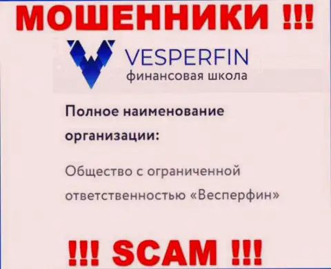 Сведения про юр лицо internet-мошенников VesperFin - ООО Весперфин, не сохранит Вас от их загребущих рук