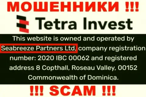 Юридическим лицом, владеющим обманщиками Tetra Invest, является Seabreeze Partners Ltd