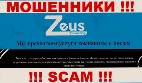 Направление деятельности интернет-аферистов Zeus Consulting - это Консалтинг, однако имейте ввиду это обман !!!