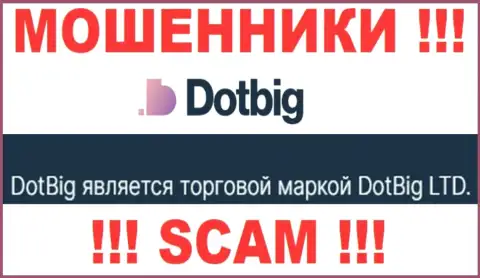 Dot Big - юр. лицо интернет-жуликов компания DotBig LTD