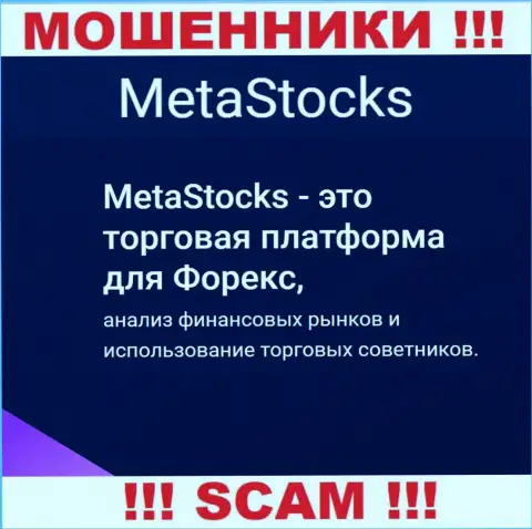 ФОРЕКС - именно в такой сфере орудуют наглые кидалы Meta Stocks