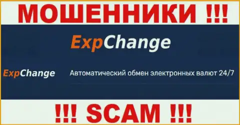 Криптообменник - это то на чем, якобы, профилируются интернет мошенники ExpChange Ru