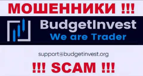Связаться с интернет-мошенниками из организации BudgetInvest Org вы сможете, если отправите сообщение на их е-мейл