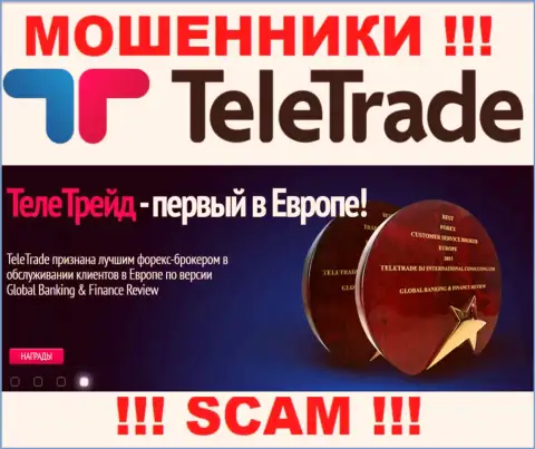Форекс - конкретно в данной сфере действуют наглые internet обманщики TeleTrade Org