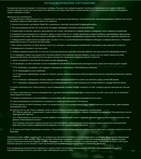 Пользовательское соглашение Зинеера Ком, представленное на сайте компании