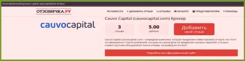 Фирма Кауво Капитал, в сжатой публикации на онлайн-ресурсе Отзовичка Ру