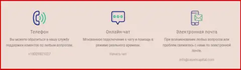 Официальный интернет-сервис дилинговой фирмы CauvoCapital