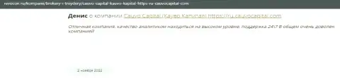 Брокерская компания Cauvo Capital описана в публикации на информационном ресурсе Ревокон Ру