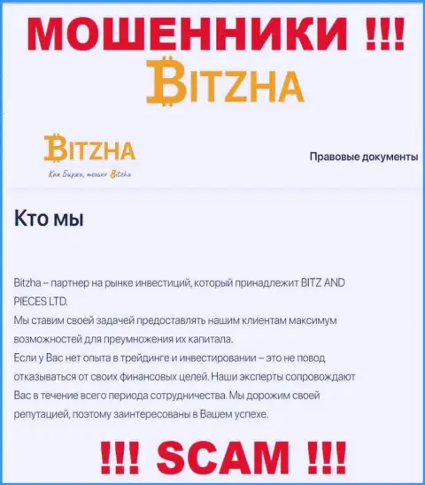 Bitzha24 Com - это коварные аферисты, направление деятельности которых - Investing