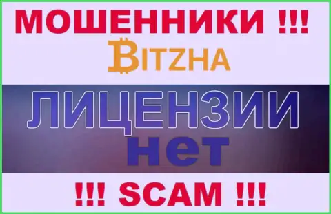 Махинаторам Bitzha24 Com не выдали лицензию на осуществление их деятельности - воруют денежные активы
