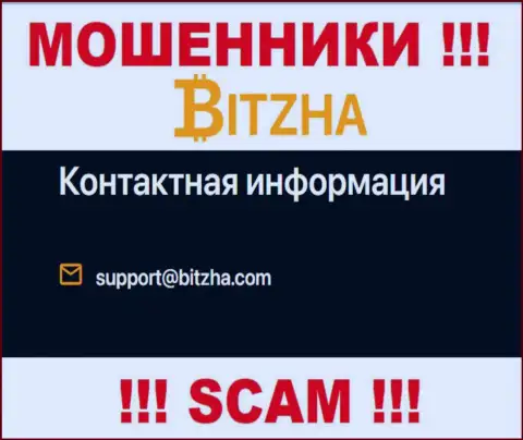Электронный адрес воров Bitzha24, информация с официального сайта